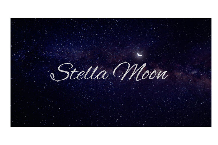 🌙StellaMoon🌙 banner image