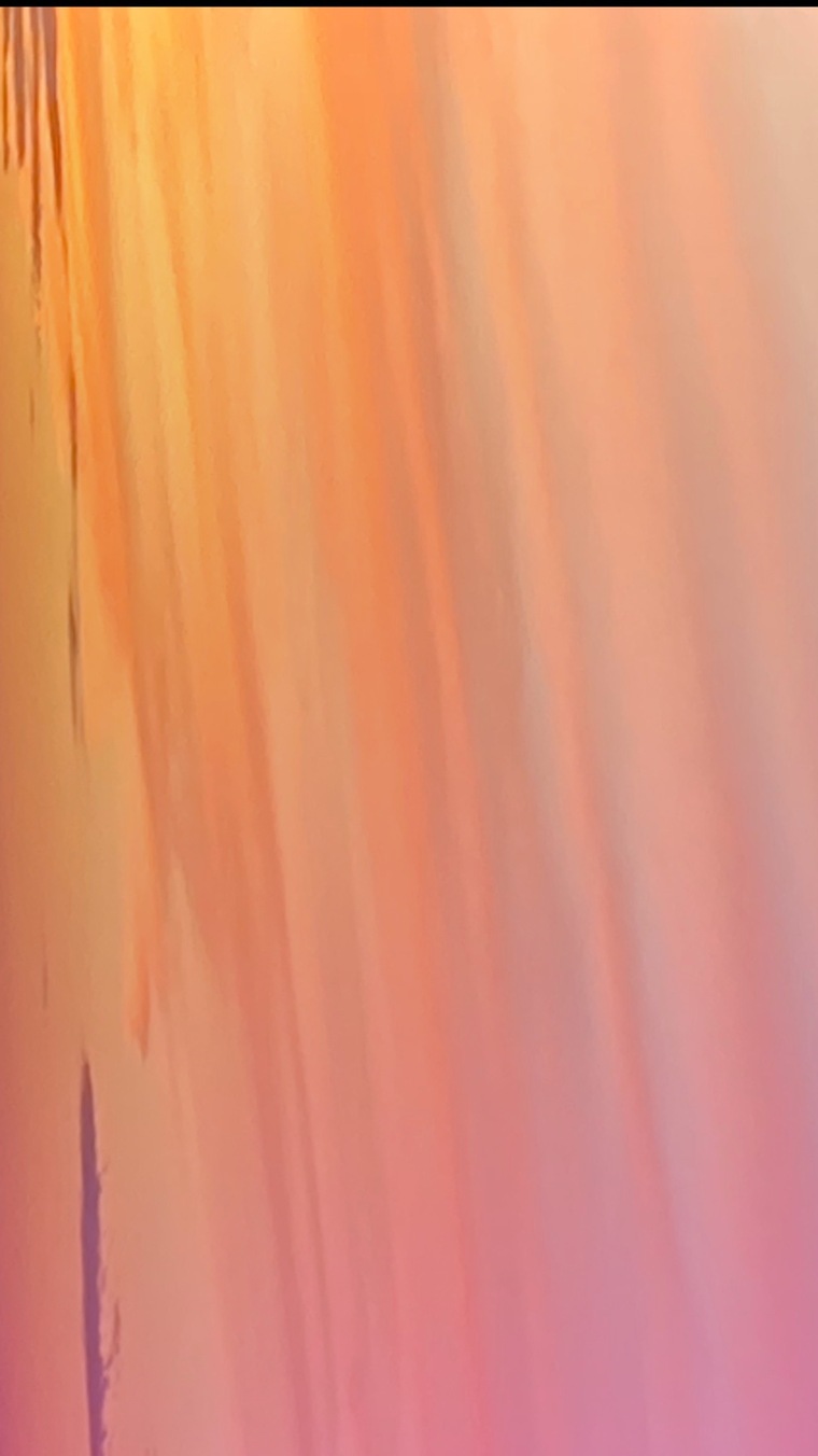 Stella Kane cover image