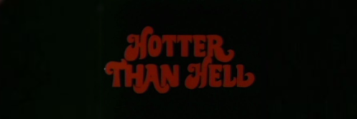 Stellaluna666 banner image