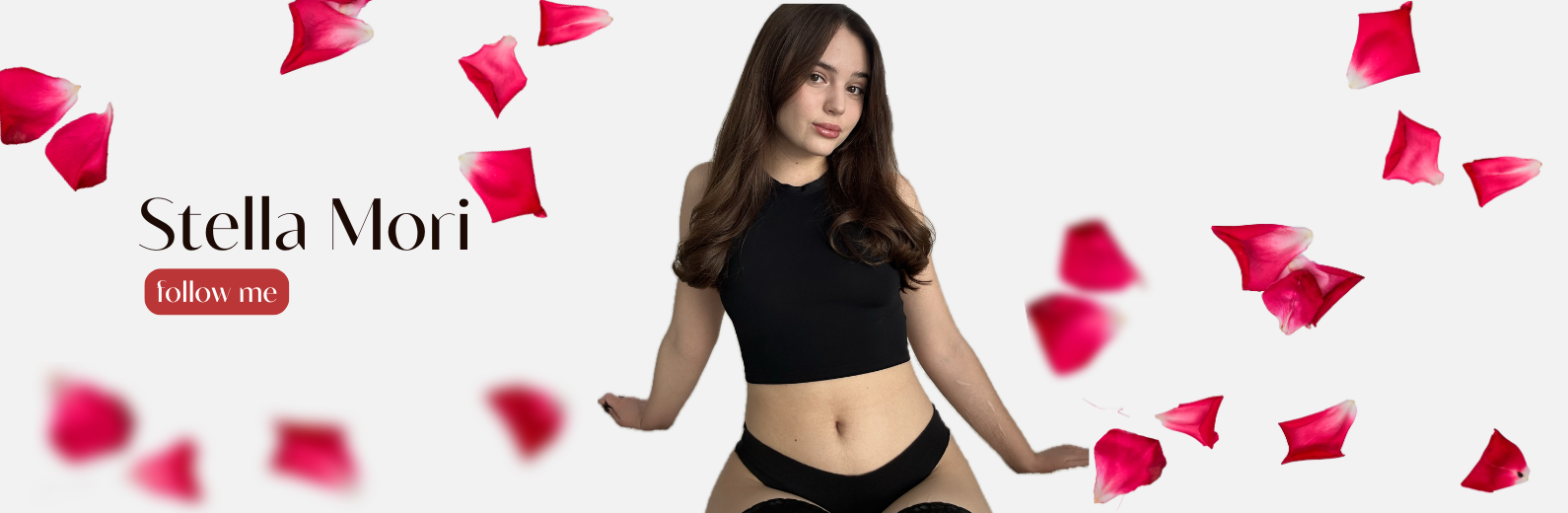 Stella🎀 banner image