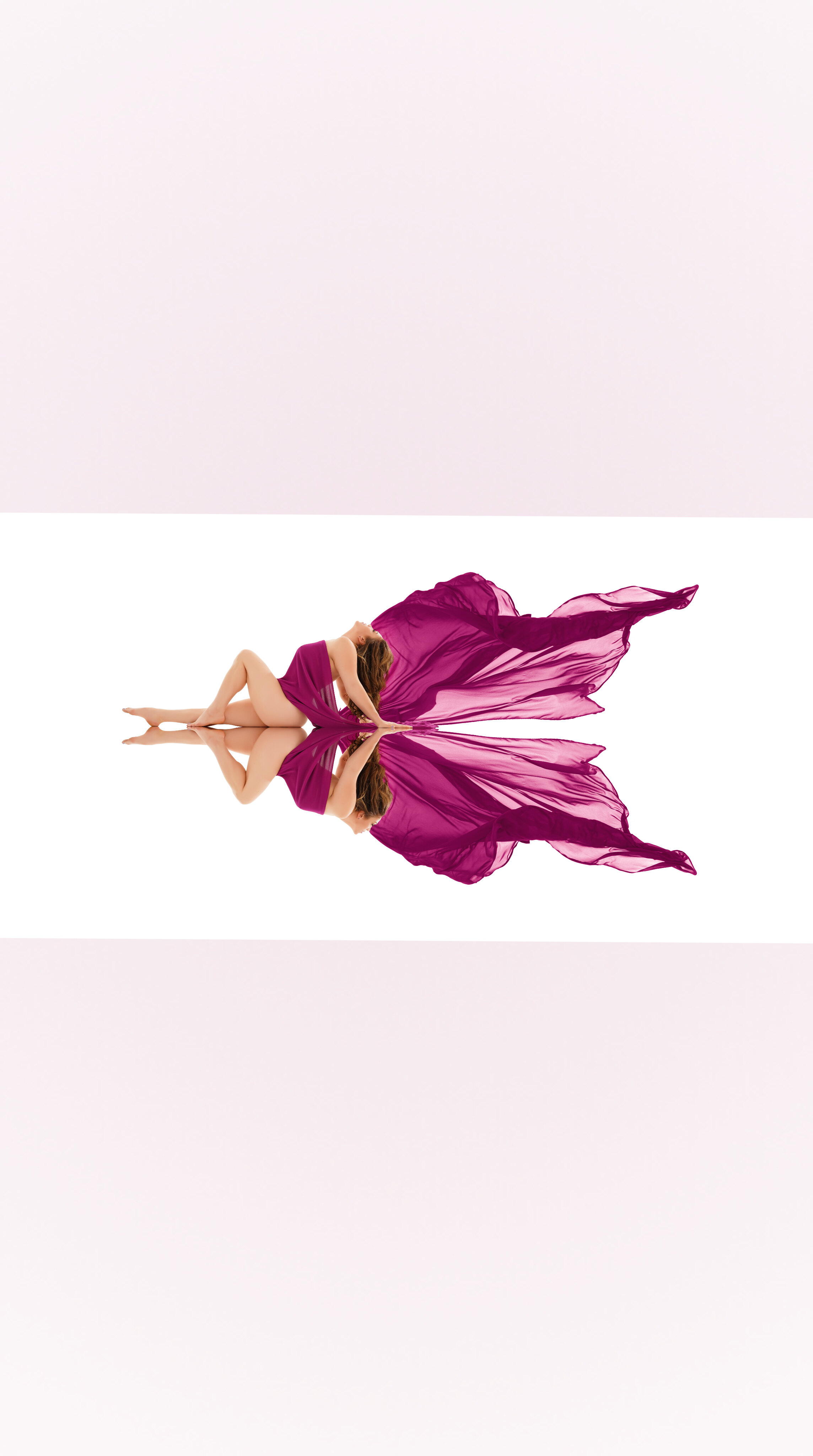Stella banner image