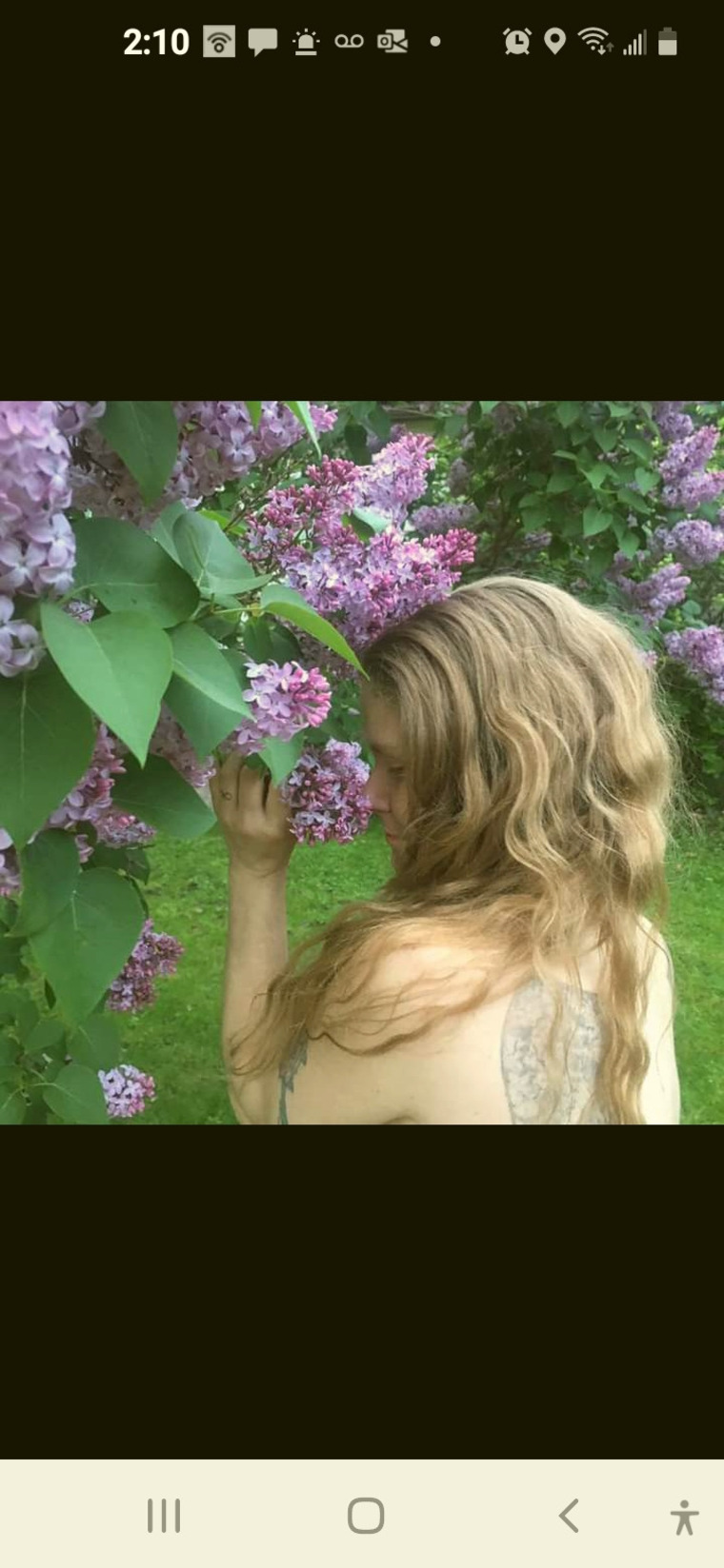 Stella Steal cover image