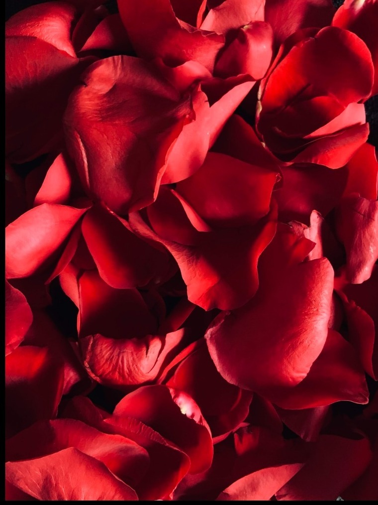 Jay cover image