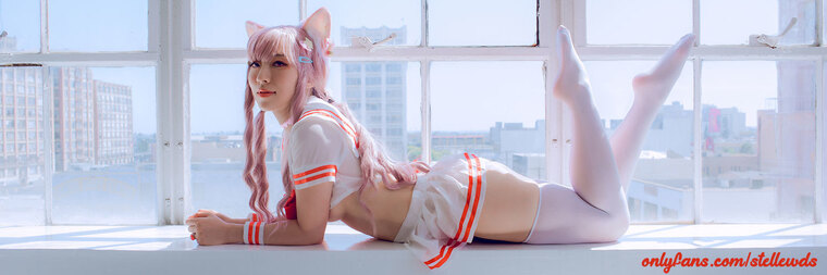 stellewds π banner image