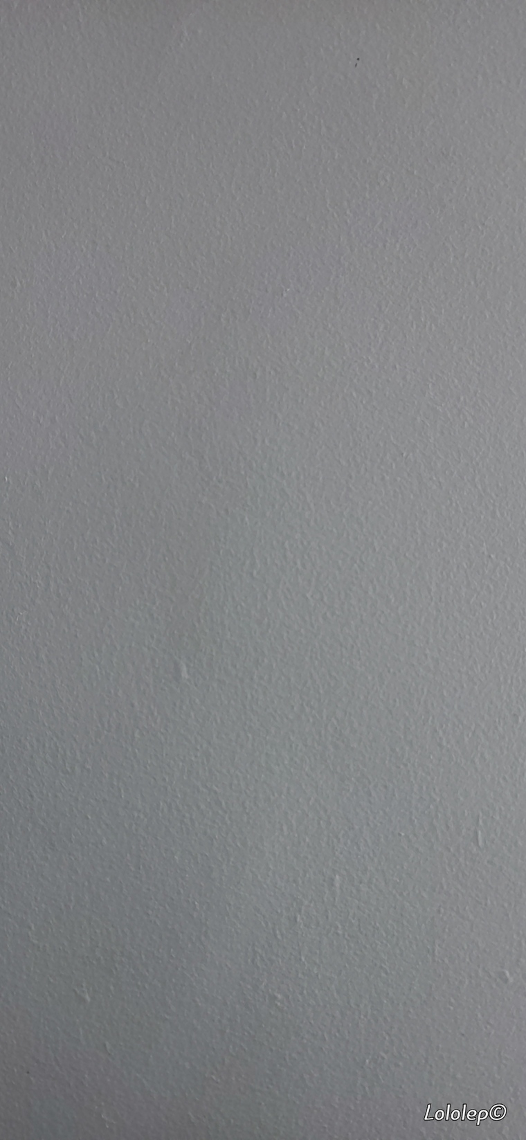 Stéphanie BBW banner image