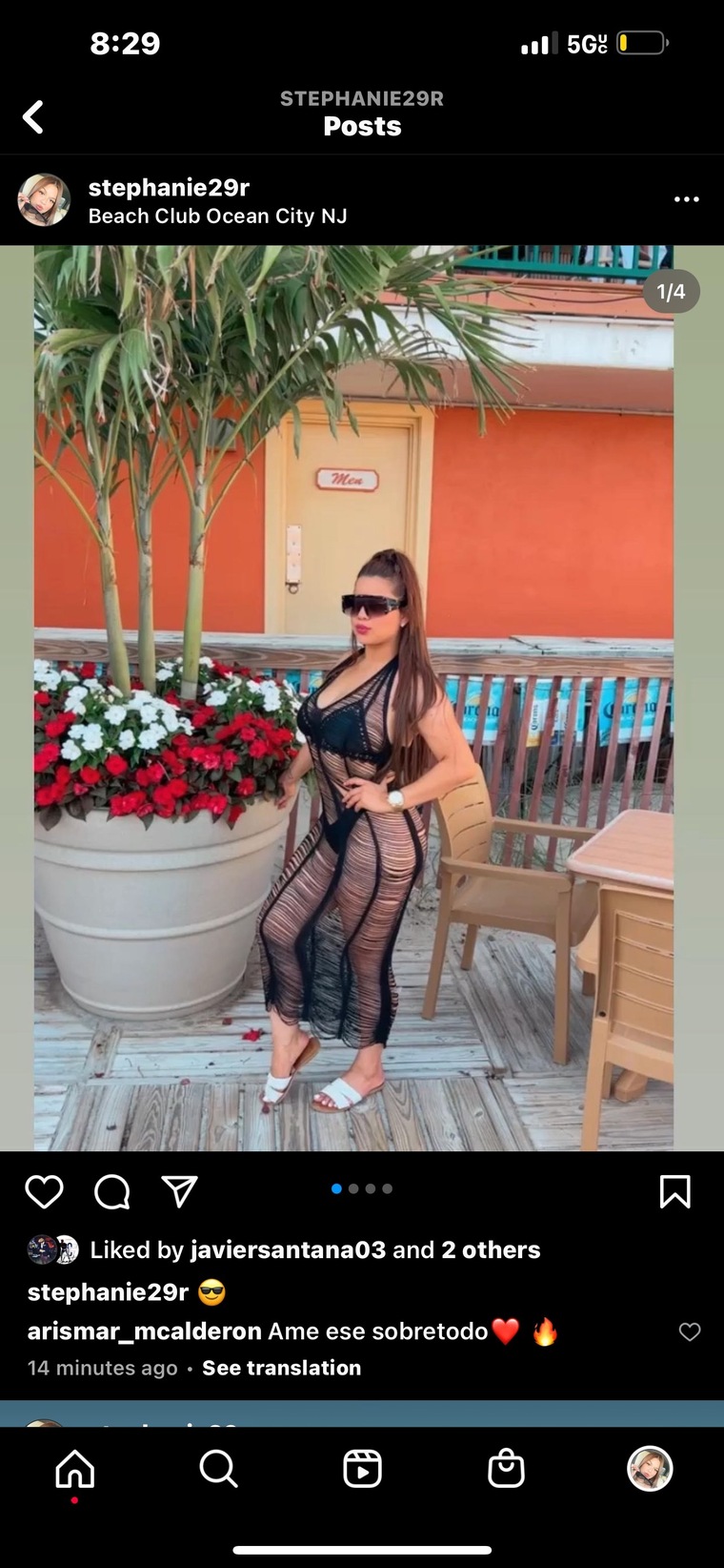 Stephanie banner image