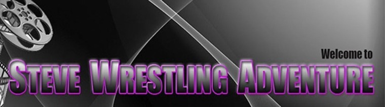 STEVE banner image
