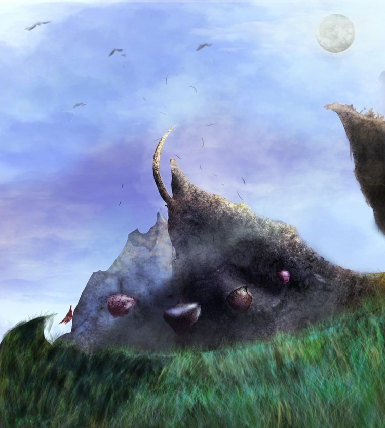 Chris Stewart banner image