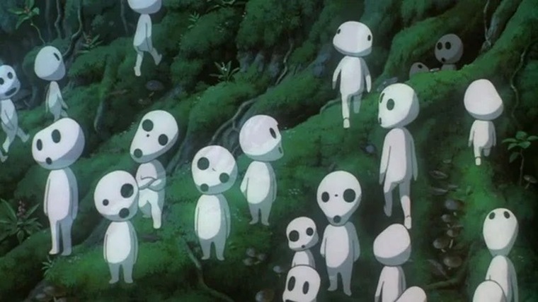 Fern banner image