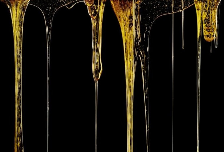 honey banner image