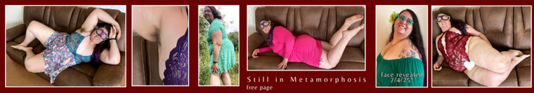 Gal Mariya of Still in Metamorphosis cover image