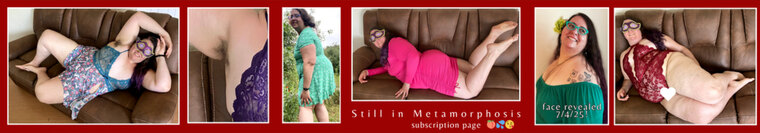 Still in Metamorphosis cover image