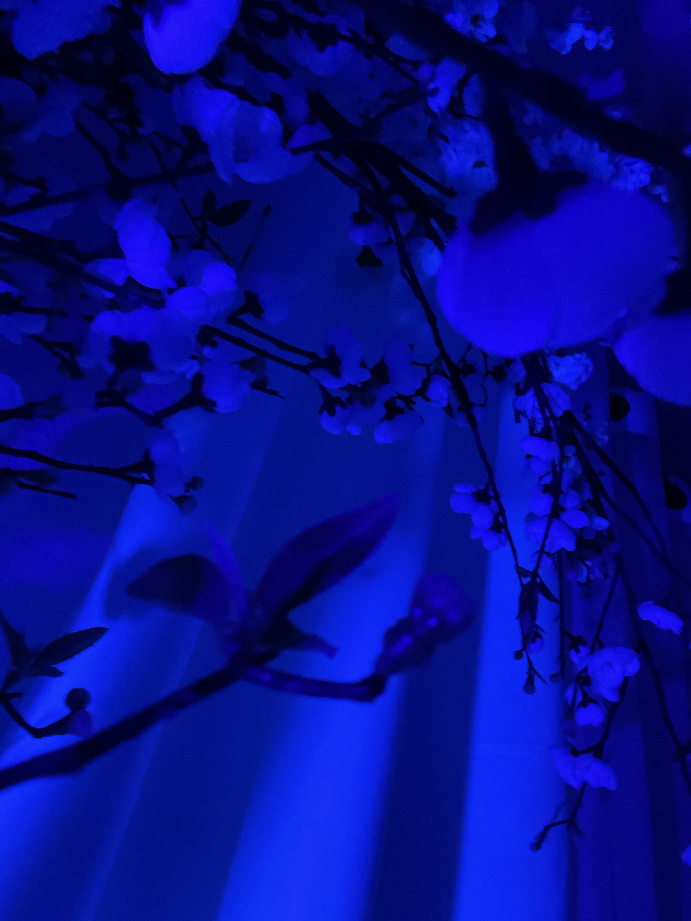 Stinky Feet banner image