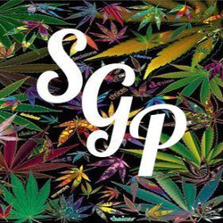 Stoned gaming productions avatar