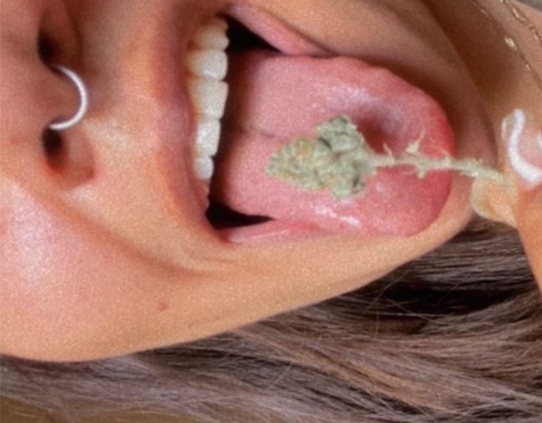 Stoner Jellyfish π¦ππ banner image