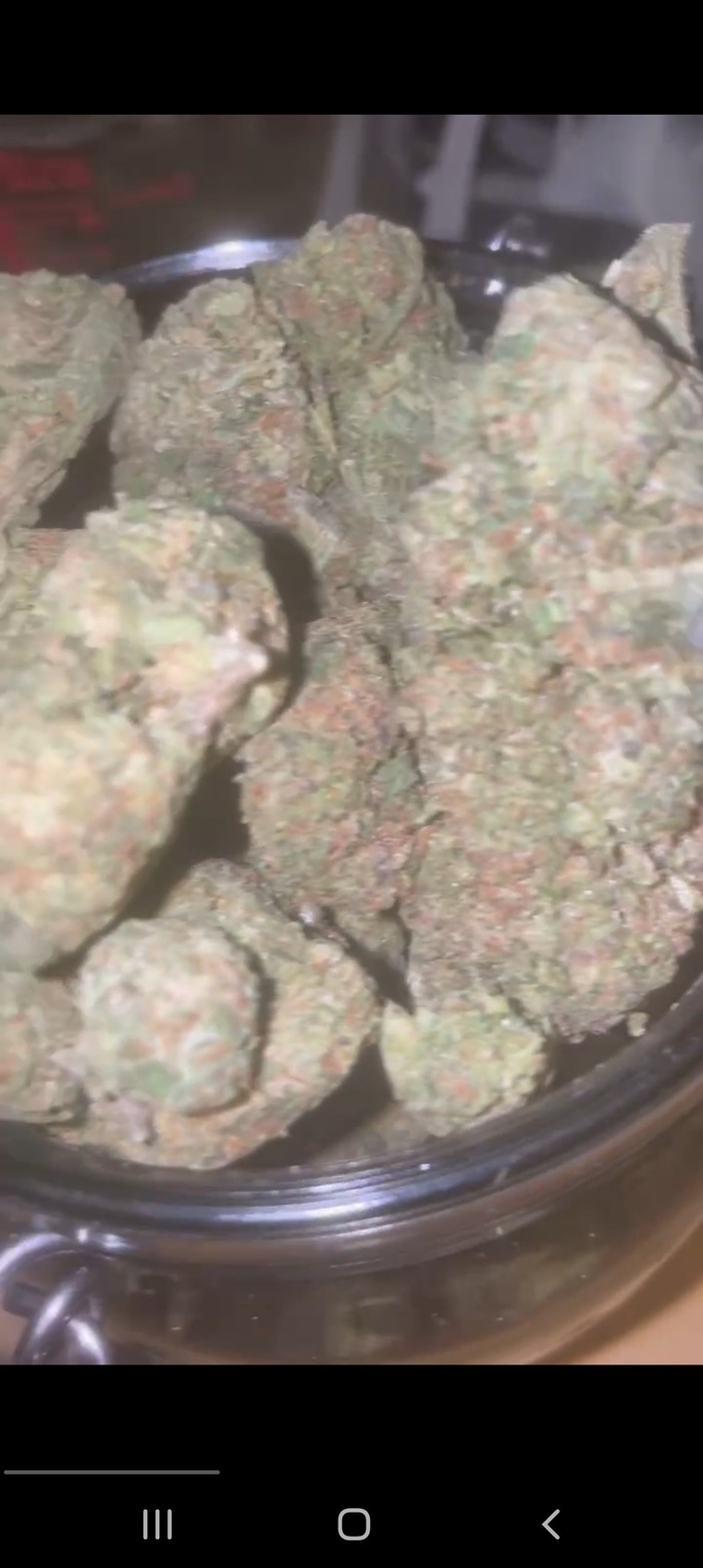 Stonerbabexo cover image
