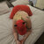 Sequoia Jackson avatar