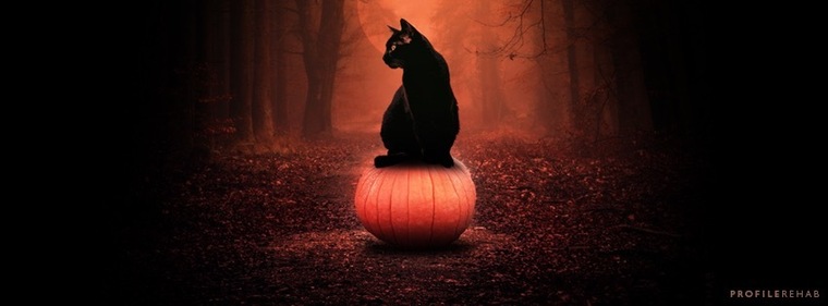 Bethany Kelley cover image