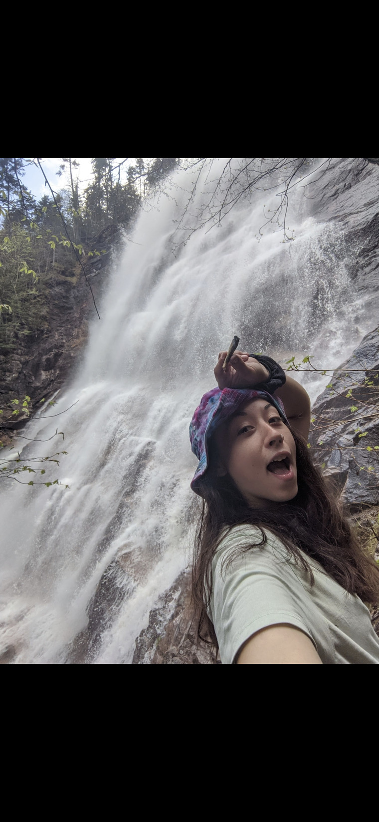 Dani cover image