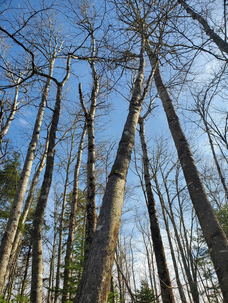 Stoners In The Wild cover image