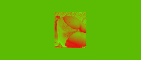 T. Stoney cover image