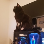 Storm avatar