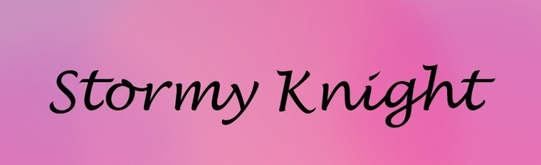 Stormy Knight banner image