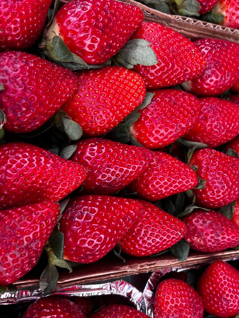 Strawberry banner image
