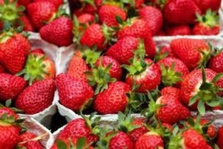 Strawberry banner image
