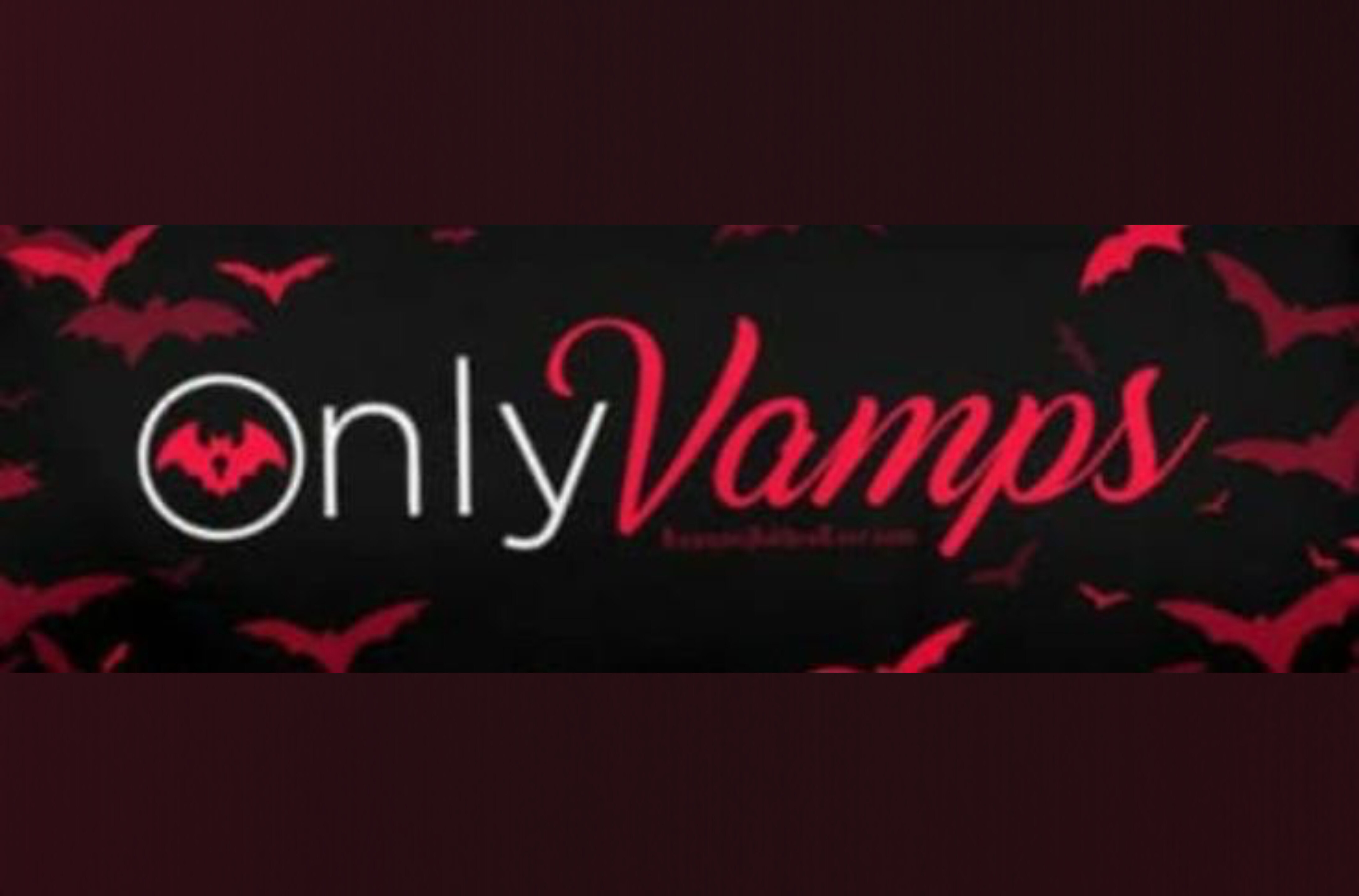 bunnie girl banner image