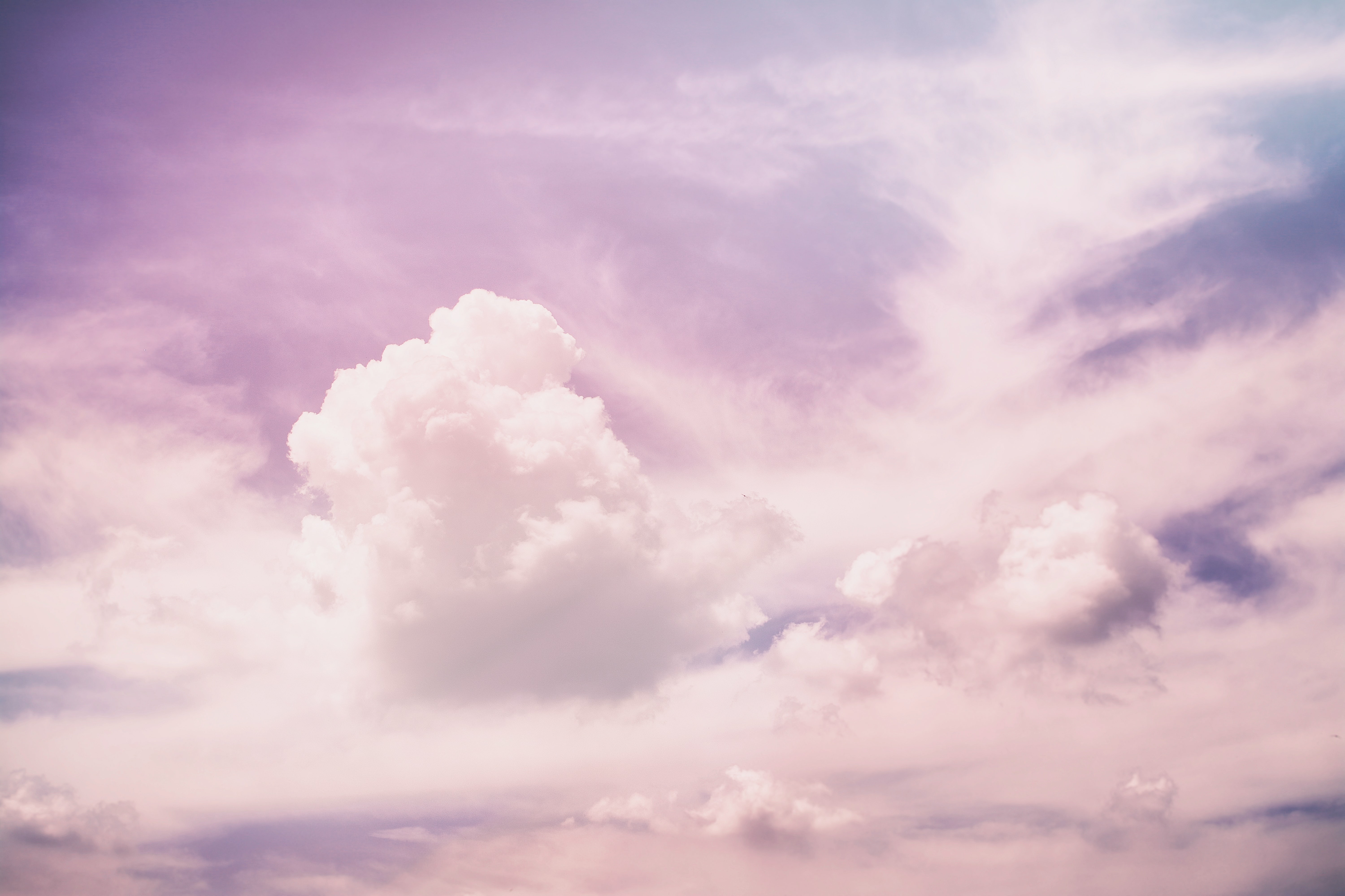Strawberry shortcake banner image