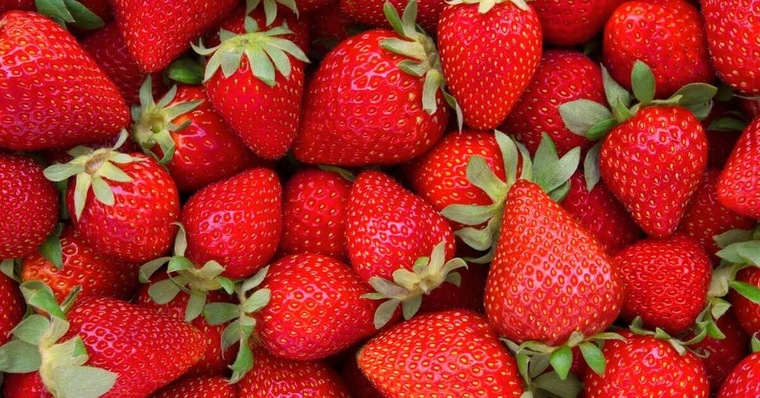Strawberry Witch Bitch cover image