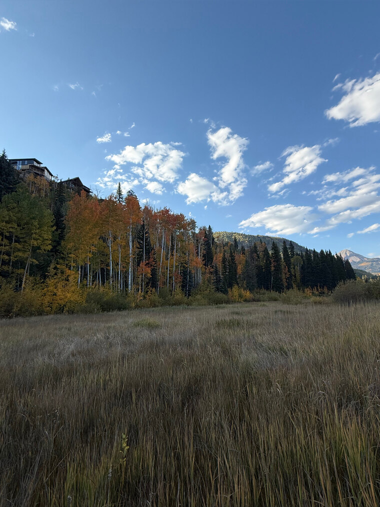 Lake cover image