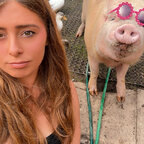 Stubbypigs avatar