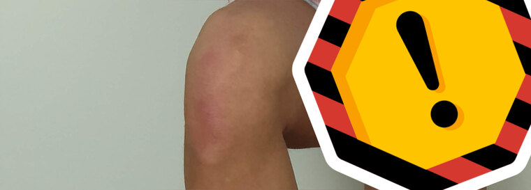 StudHunter banner image