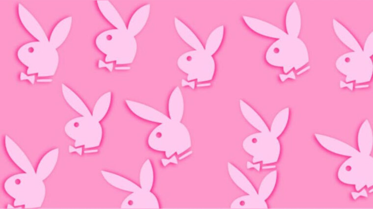stxylxr cover image