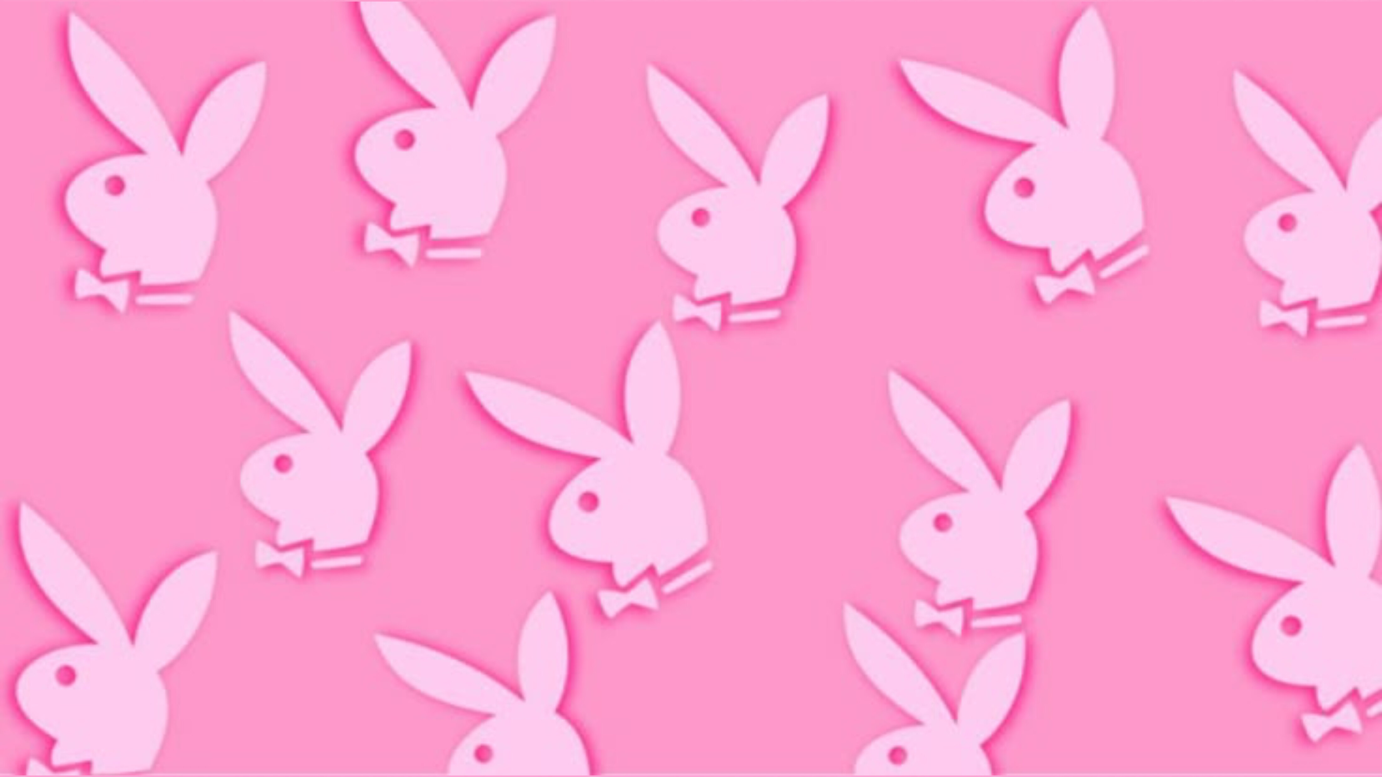 stxylxr banner image