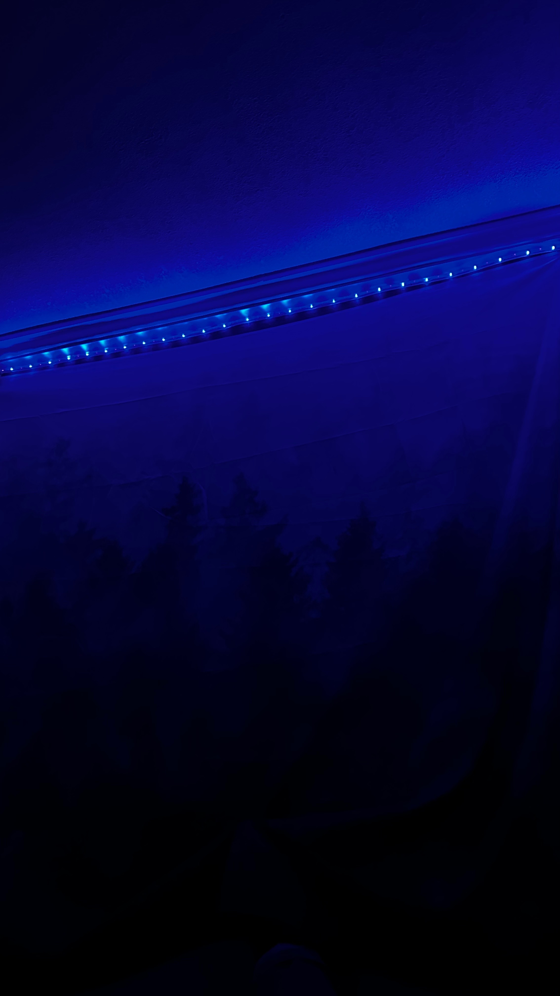 Alex g banner image