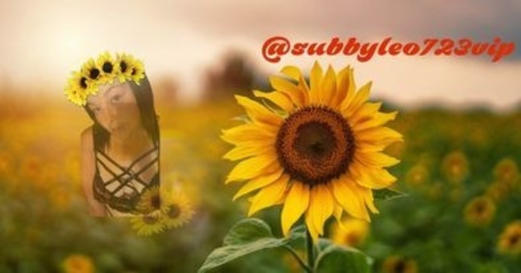 dipsyNtipsy cover image