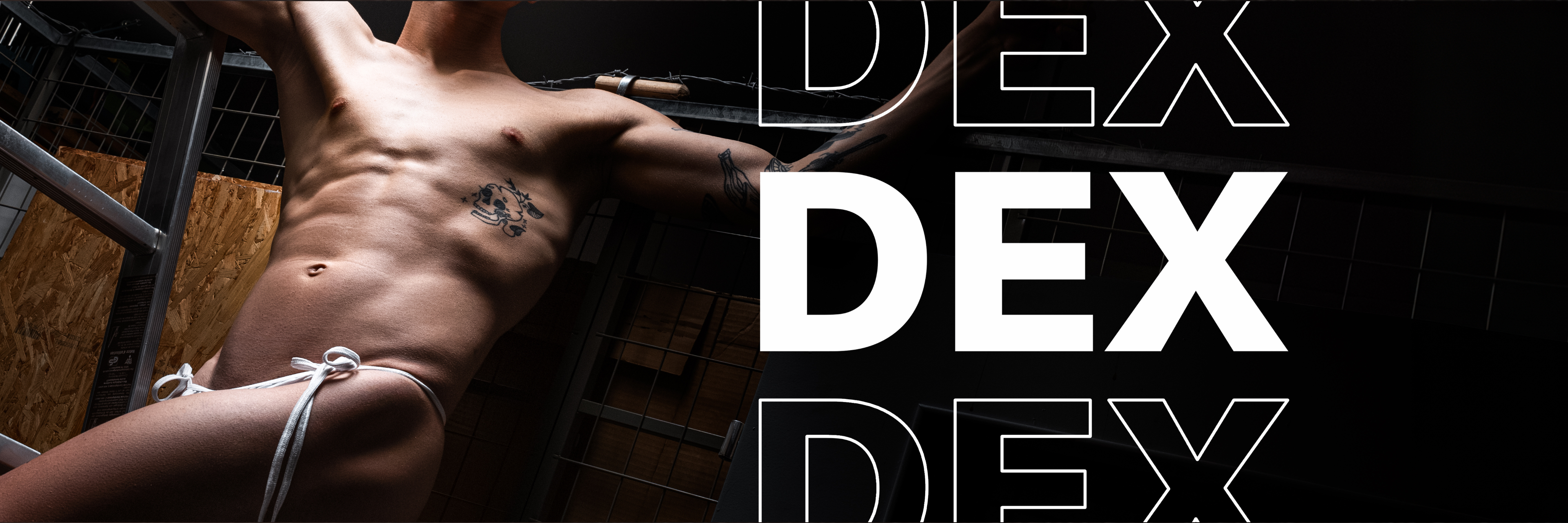 Dex banner image