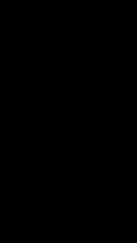 Zazzles cover image