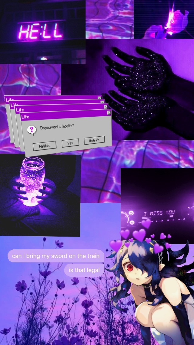 Nova banner image