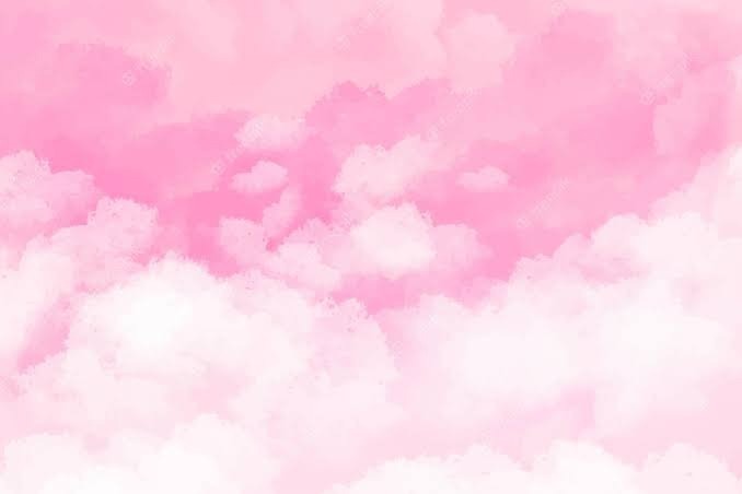 Succulent Spirit banner image