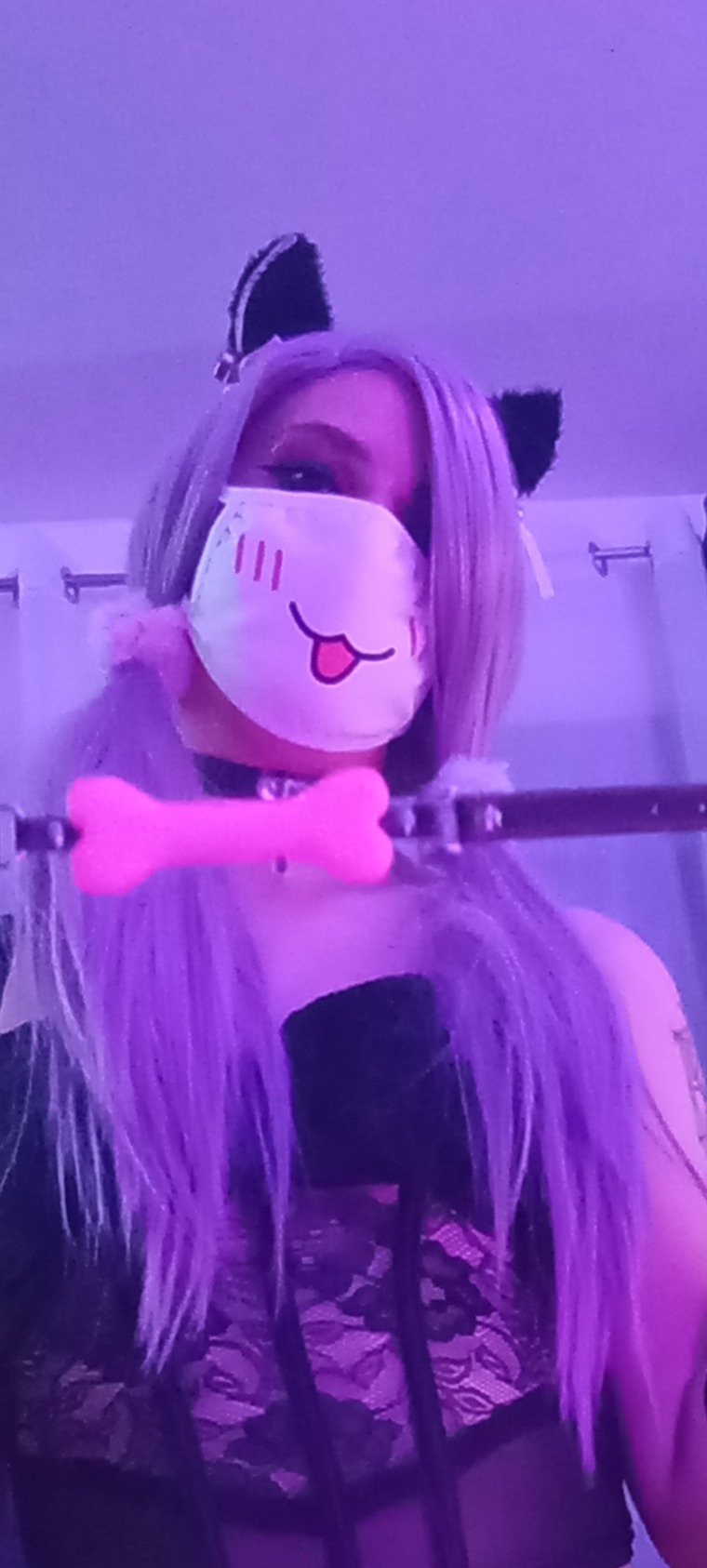 Succupuppy banner image