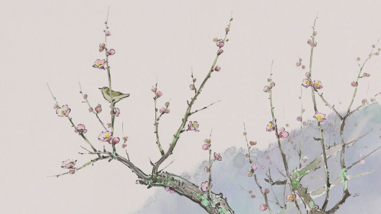 Victoria Vera cover image