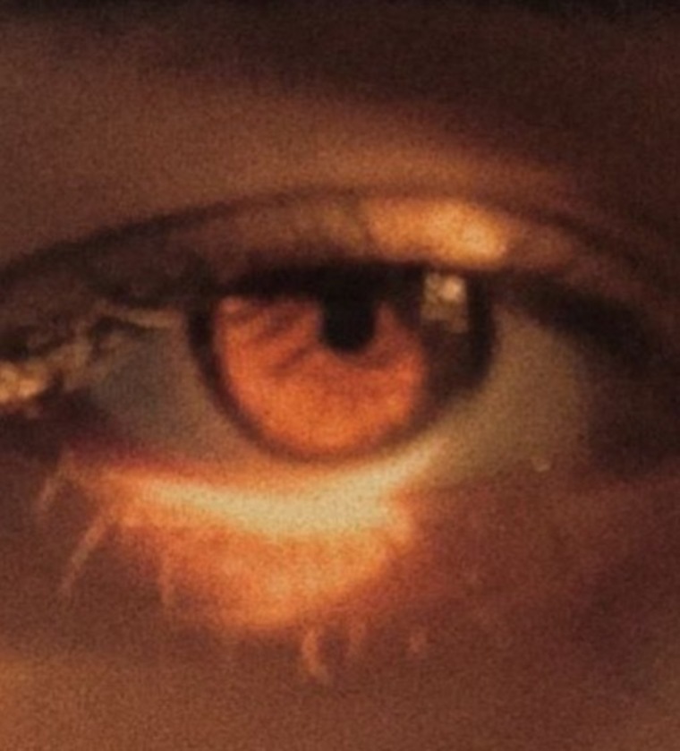 lara cover image