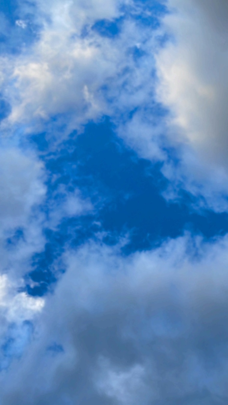 Sugarlovey banner image