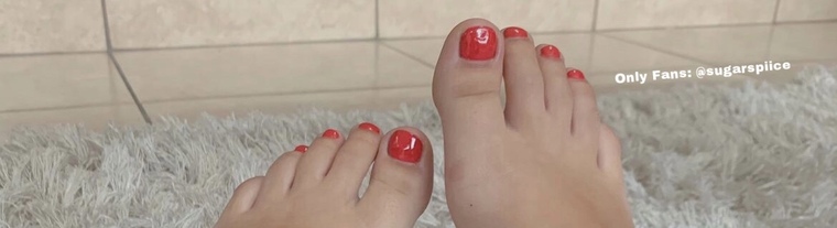 Sugar Spice banner image
