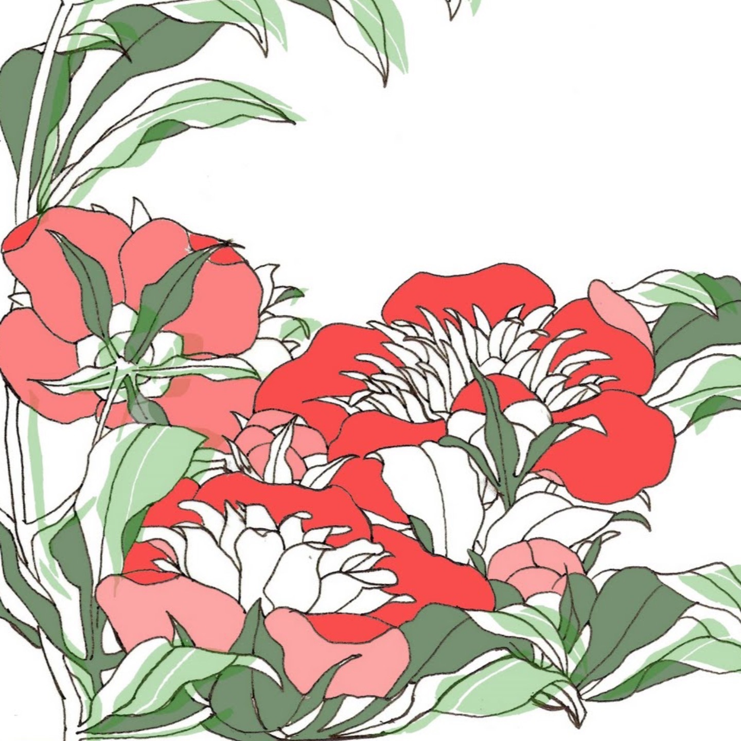 Sabina banner image