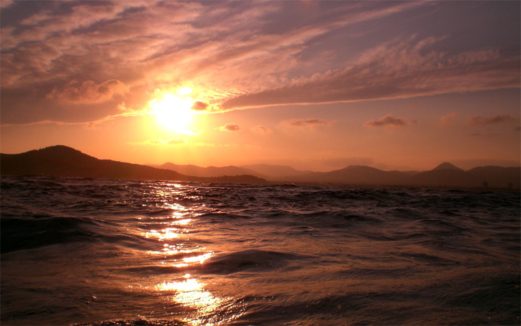 Summer cover image